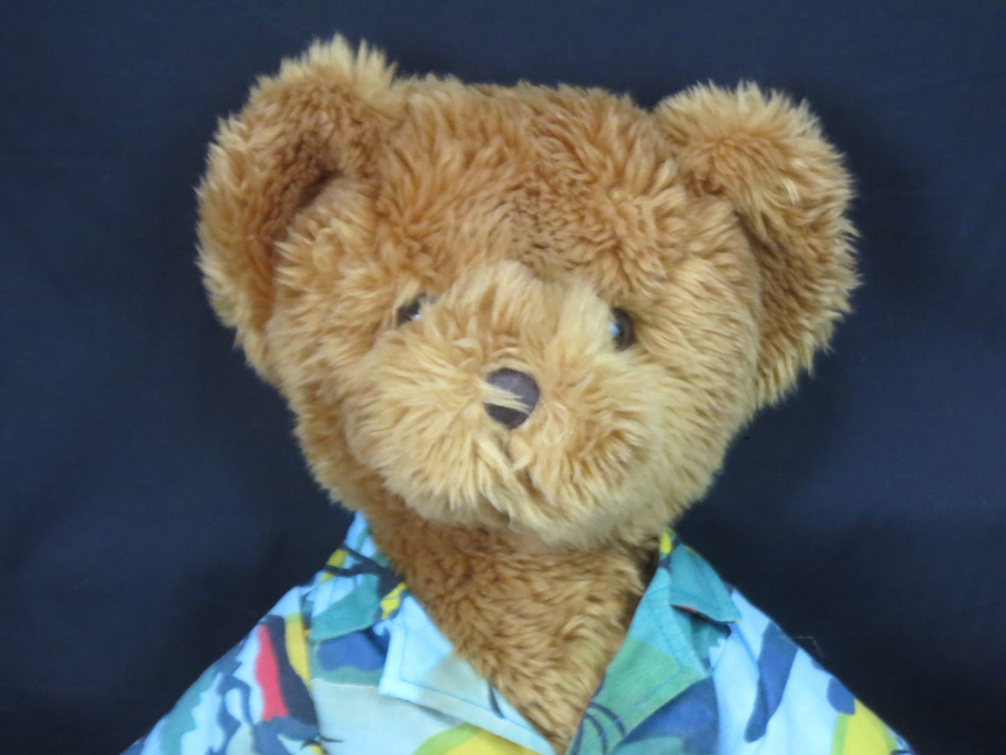 teddy bear hawaiian shirt